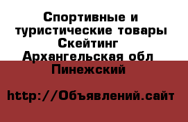 Спортивные и туристические товары Скейтинг. Архангельская обл.,Пинежский 